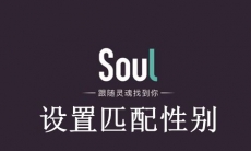 《soul》设置匹配性别操作方法