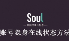 《Soul》账号隐身在线状态方法