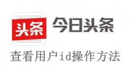 《今日头条》查看用户id操作方法