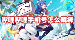 《哔哩哔哩》手机号怎么解绑