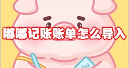 《嘟嘟记账》账单怎么导入