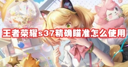 《王者荣耀》s37精确瞄准怎么使用
