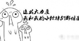 《京东》双十一红包什么时候开始2024