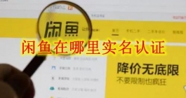 《闲鱼》在哪里实名认证