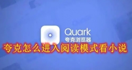 《夸克》进入阅读模式看小说教程