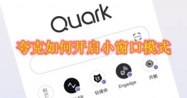 《夸克》如何开启小窗口模式