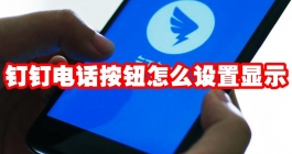 《钉钉》电话按钮怎么设置显示