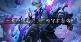 《王者荣耀》老夫子百相守梦怎么样