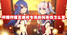 《哔哩哔哩》直播间专属房间表情怎么发