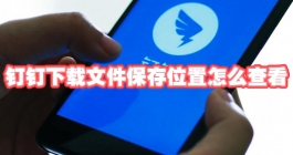 《钉钉》下载文件保存位置怎么查看