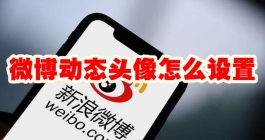 《微博》动态头像怎么设置
