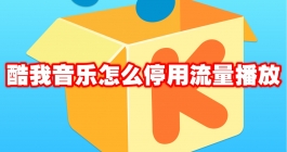 《酷我音乐》怎么停用流量播放