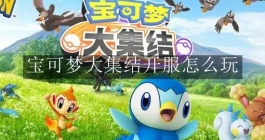 《宝可梦大集结》开服怎么玩
