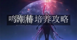 《鸣潮》椿培养攻略