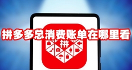 《拼多多》总消费账单在哪里看