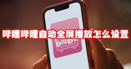 《哔哩哔哩》自动全屏播放怎么设置