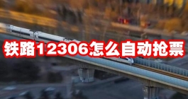 《铁路12306》怎么自动抢票