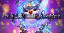 《云顶之弈》S13特质类羁绊介绍