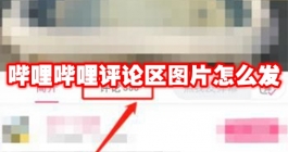 《哔哩哔哩》评论区图片怎么发